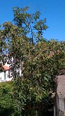 Restaurante El Rincón