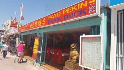Pato Pekin Duck