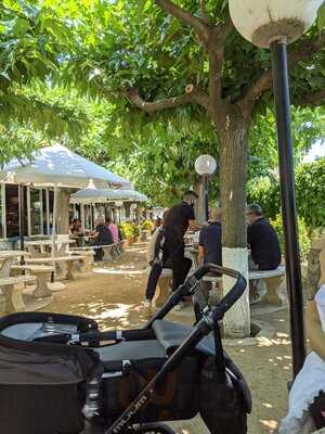 El Manantial De La Cerve