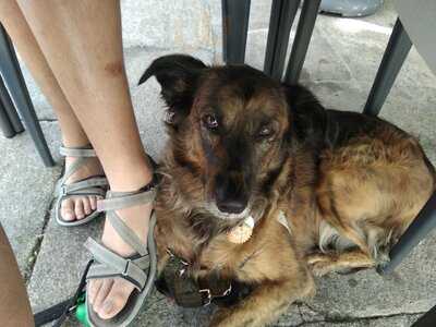 Taberna Tipica O Paraiso