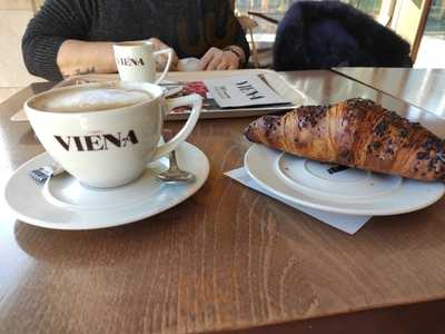 Viena
