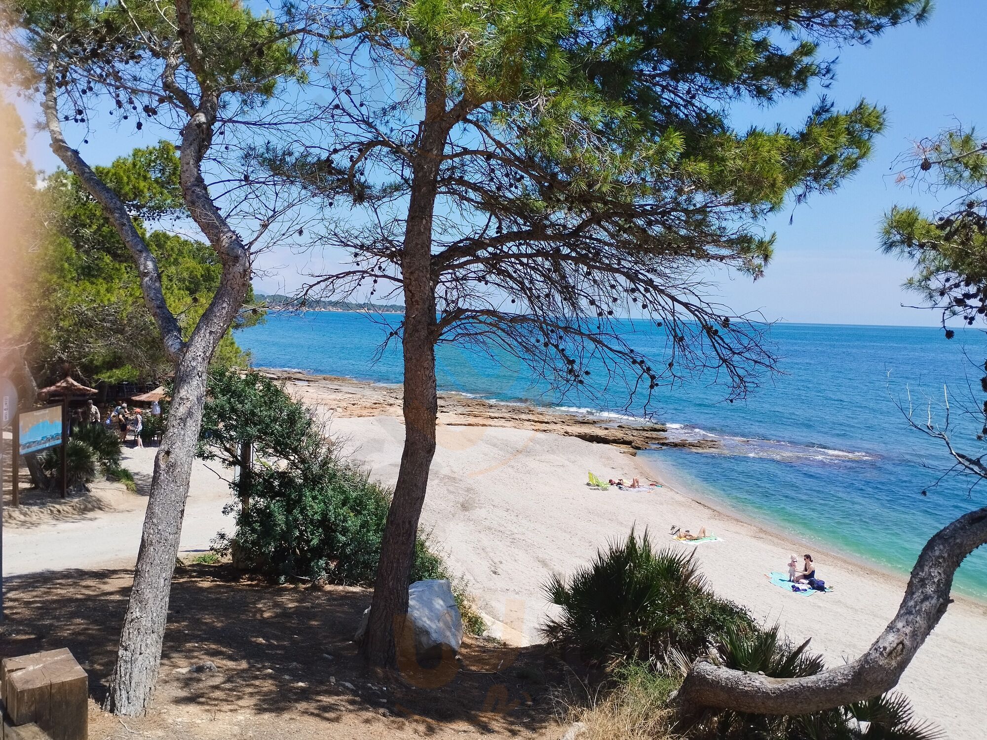 Restaurant Bohemia Mar