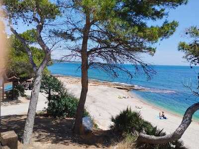 Restaurant Bohemia Mar