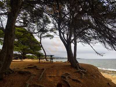 Restaurant Bohemia Mar