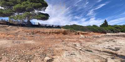 Restaurant Bohemia Mar
