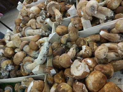 Bar Restaurante Triángulo