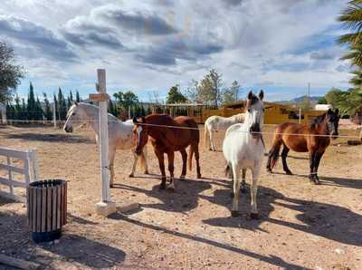 Los Establos Grill Bar