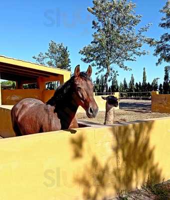 Los Establos Grill Bar