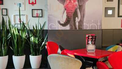 Elephant Café