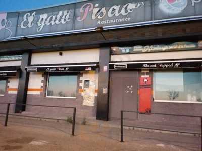 El Gato Pisao