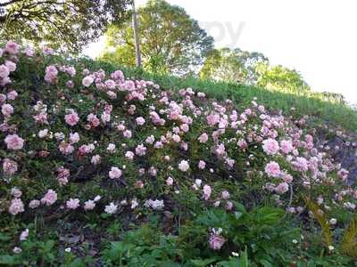 Restaurante Aretxondo