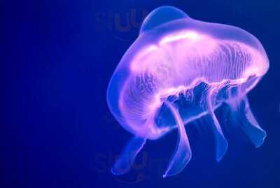 Restaurante Casa Julián