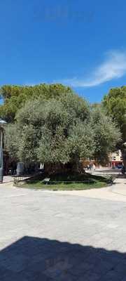 Taberna Gastronomica Enosentidos