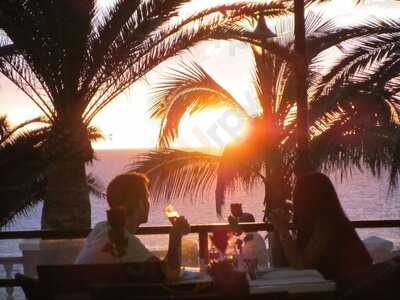 Restaurante Palillos De Oro