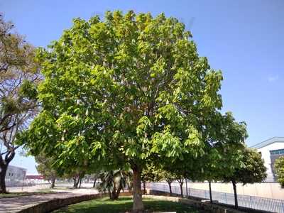 El Cel Arròs & Love