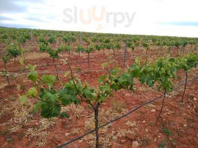 Restaurante-buffet El Cruce