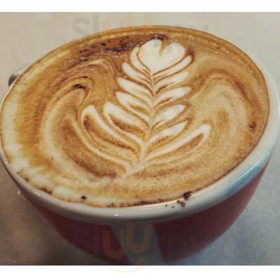 El Bosc Dels Records