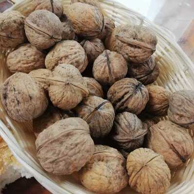 Otsua Enea Sagardotegia