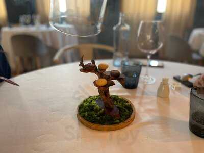 Roble By Jairo Rodriguez