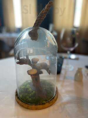 Roble By Jairo Rodriguez