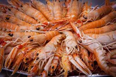 Cocedero De Mariscos "el Gary"