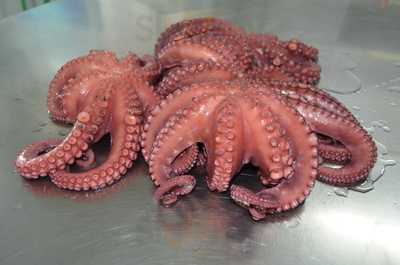 Cocedero De Mariscos "el Gary"