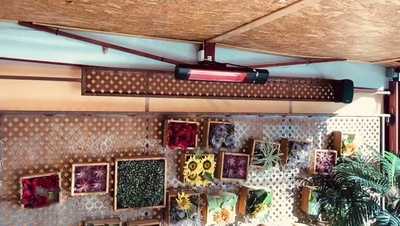 El Caballero De Olmedo