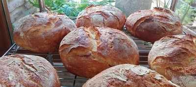 Pastelería Ocañense Cepao