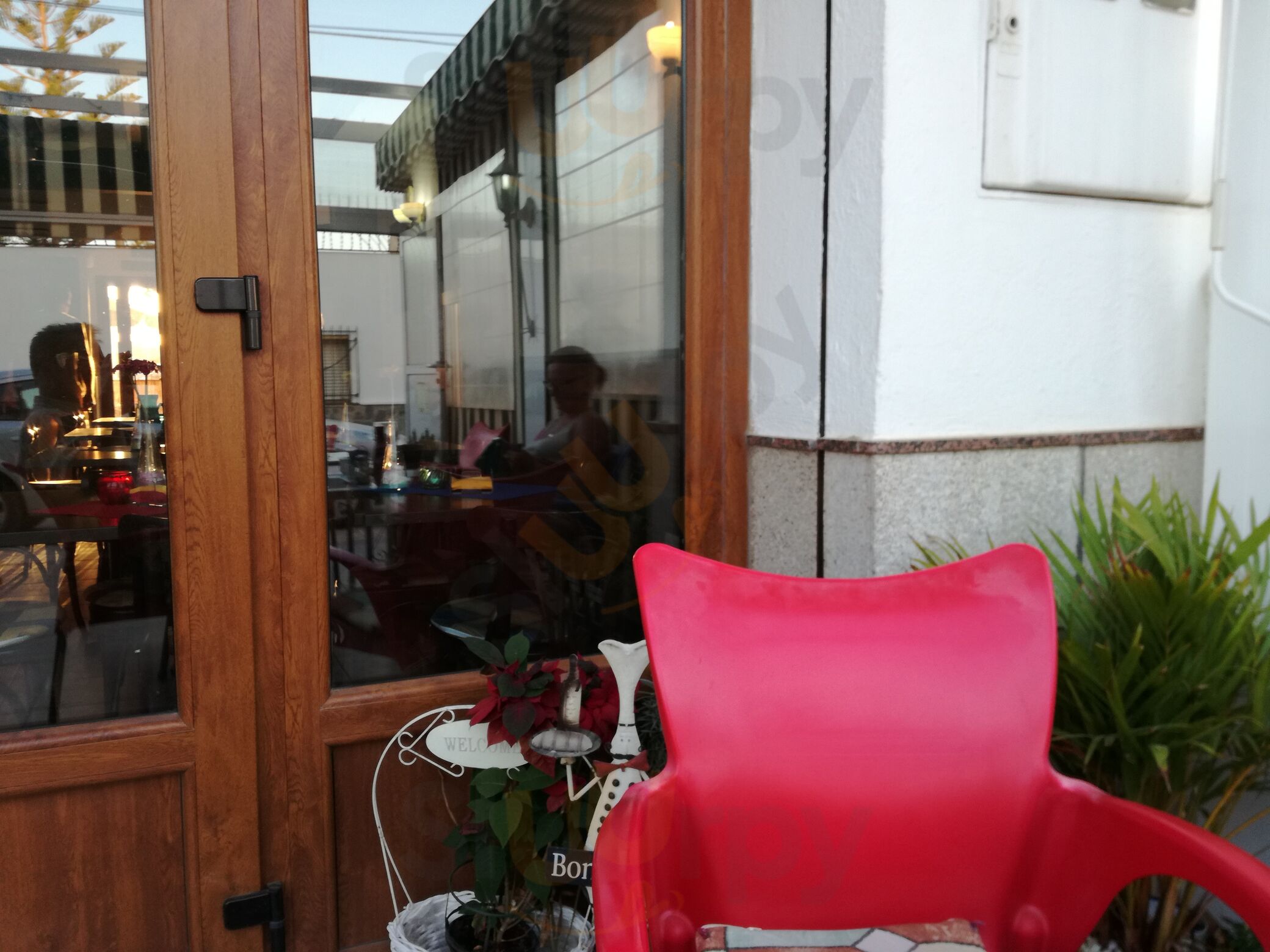 Oasis Bar