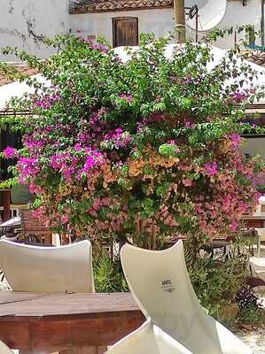 The Secret Garden, La Concordia