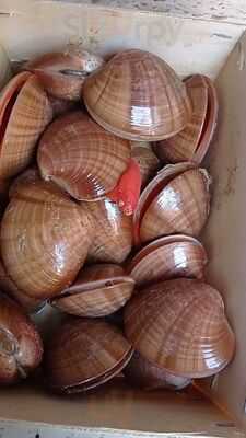 Marisqueria El Puerto