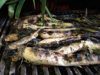 Braseria La Teja - Oficial