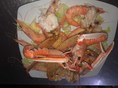 El Primero De La Mañana