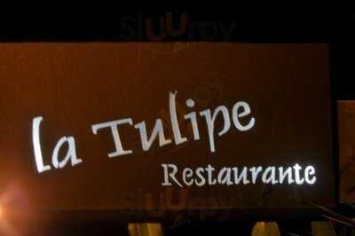 La Tulipe