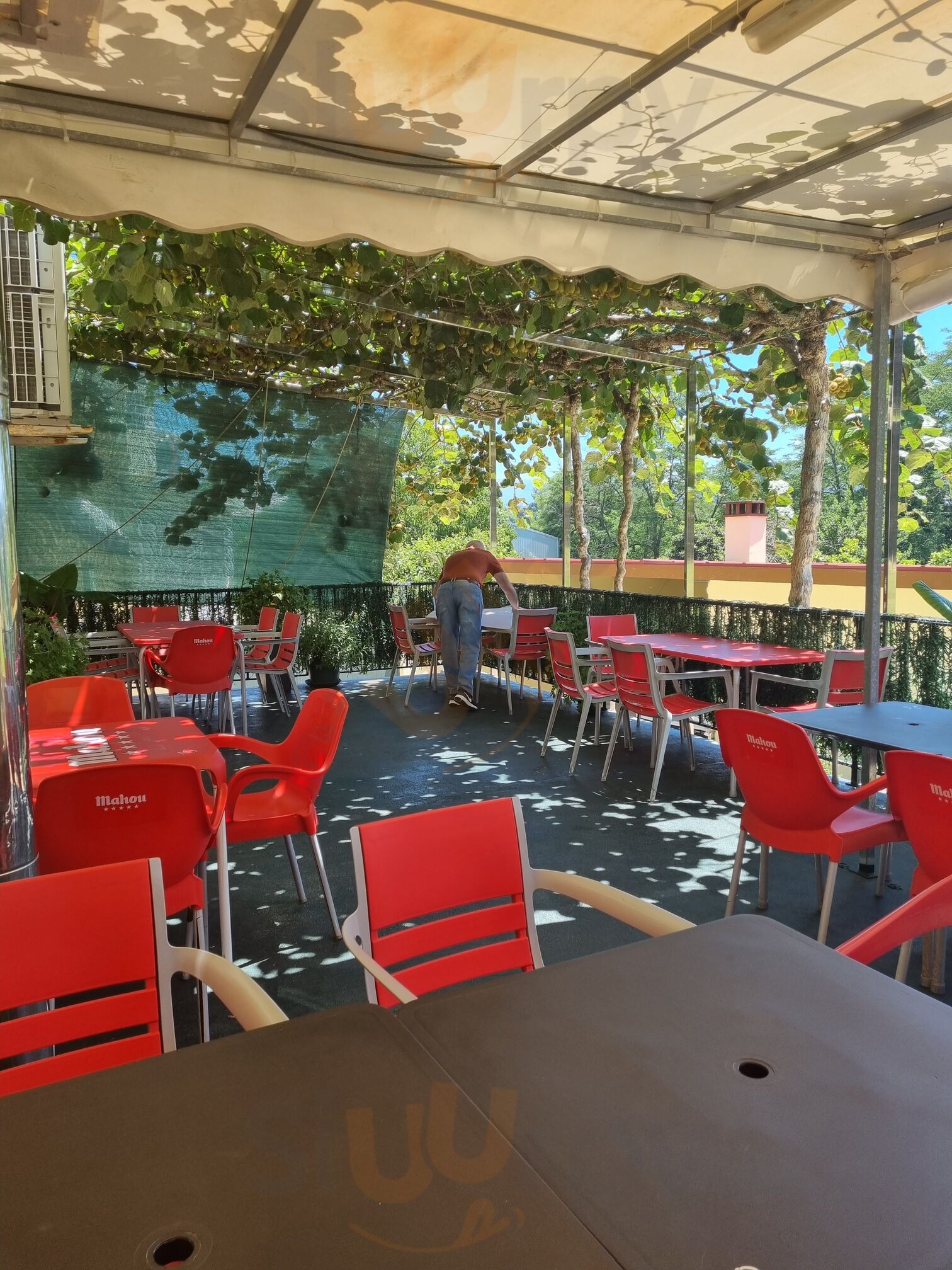 Bar Estación