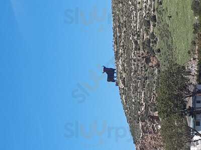 Restarutante Almanat