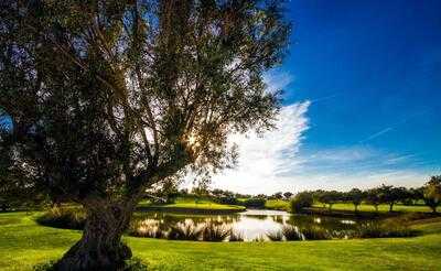 Restaurant El Olivar
