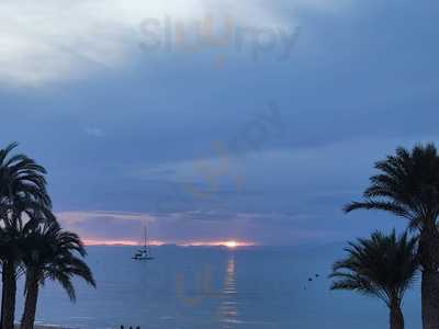 Restaurante La Bodega Molina