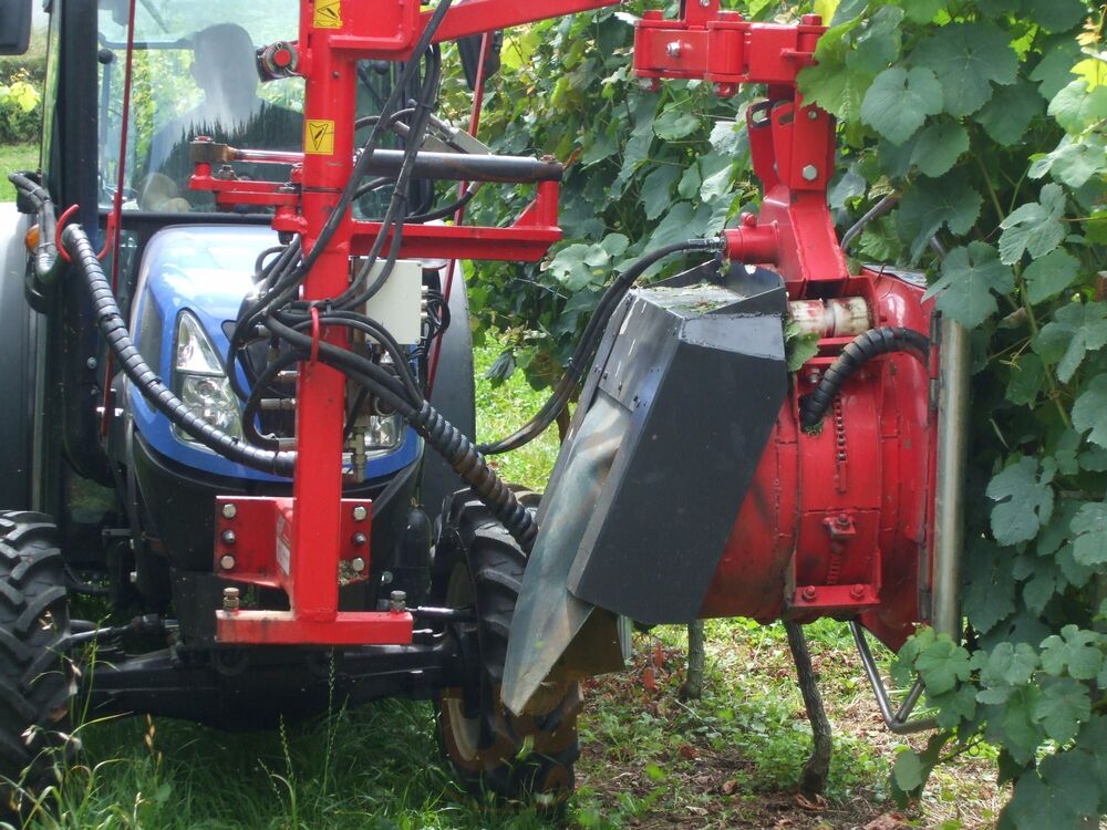 Axpe Sagardotegia-txakolindegia