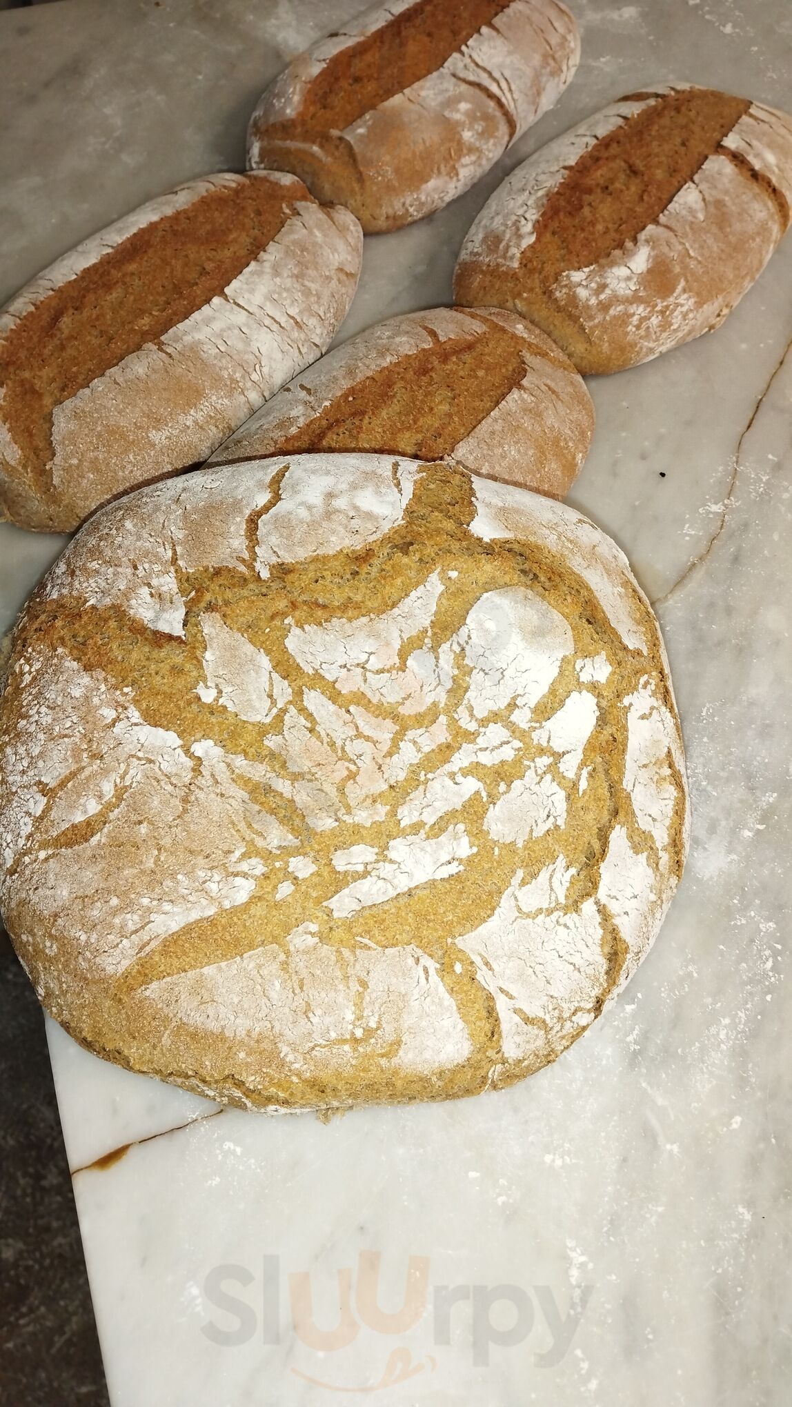 Panadera Bisanyes