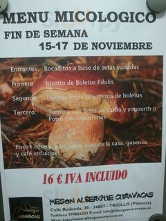 Meson Albergue Curavacas