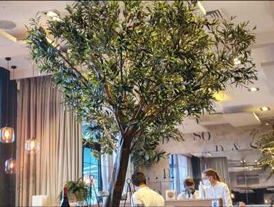 Restaurante Salterius