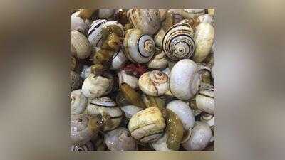 Bar-marisquería Tres Hermanos