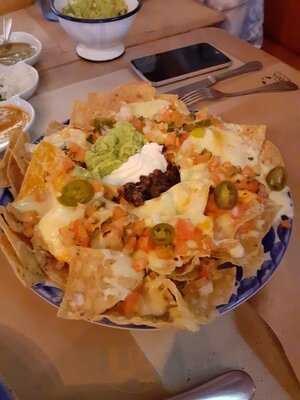 Chihuahua Tacos Y Tragos