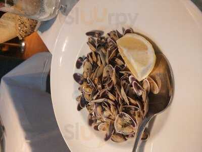 La Gaditana Castellana