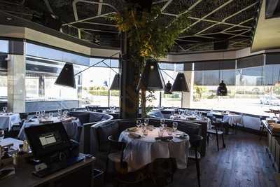 El Urogallo - Majadahonda