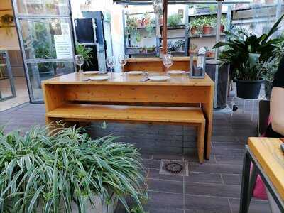 El Patio Tapas & Copas