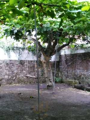 El Jardín De Rivero