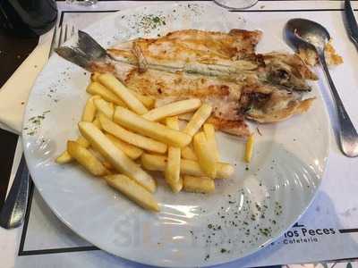 La Fuente De Los Peces