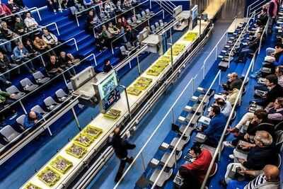 La Nueva Rula De Aviles